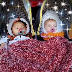 Meet your Posher, Annie spencer